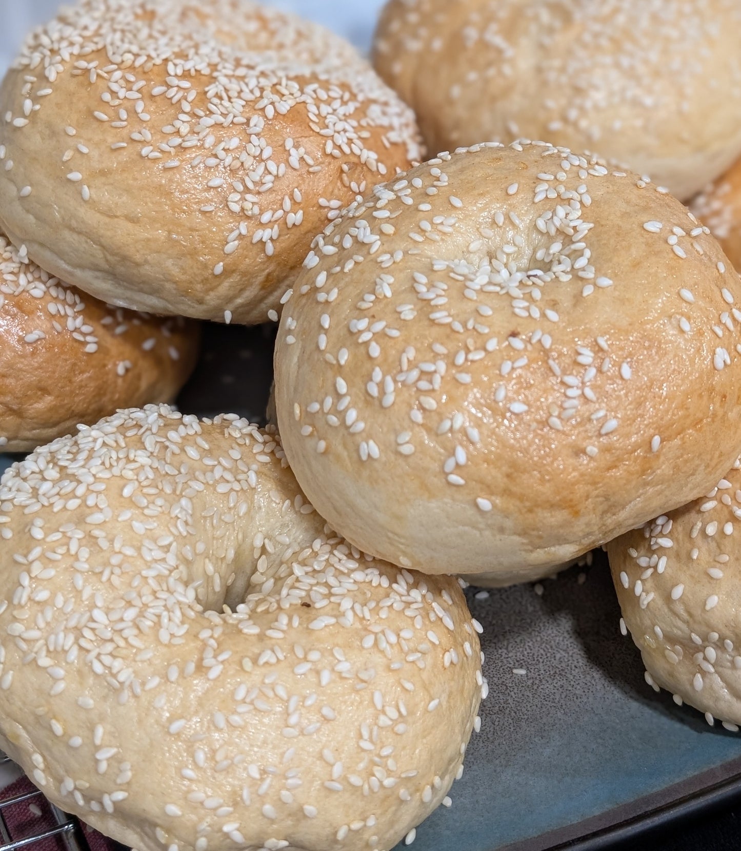 Sesame Bagels